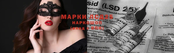 ГАЛЛЮЦИНОГЕННЫЕ ГРИБЫ Гусиноозёрск