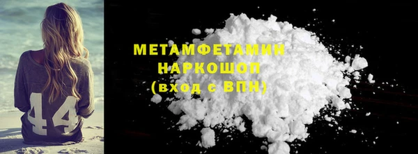 прущие грибы Дмитров