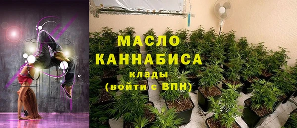 СК Дмитровск