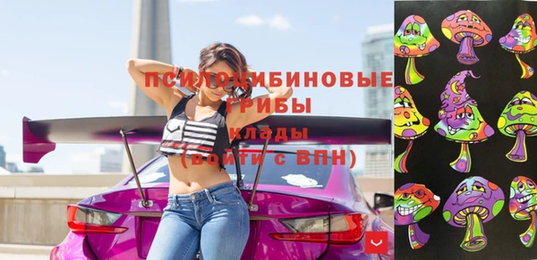 бутират Гусев