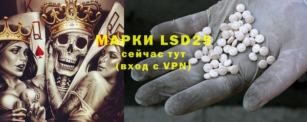 ГАЛЛЮЦИНОГЕННЫЕ ГРИБЫ Гусиноозёрск