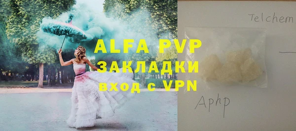 ГАЛЛЮЦИНОГЕННЫЕ ГРИБЫ Гусиноозёрск
