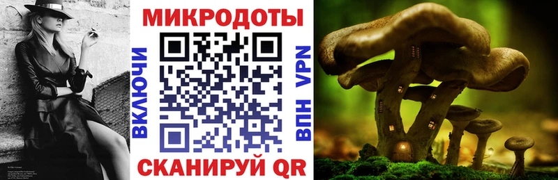 купить   Иваново  Галлюциногенные грибы мицелий 